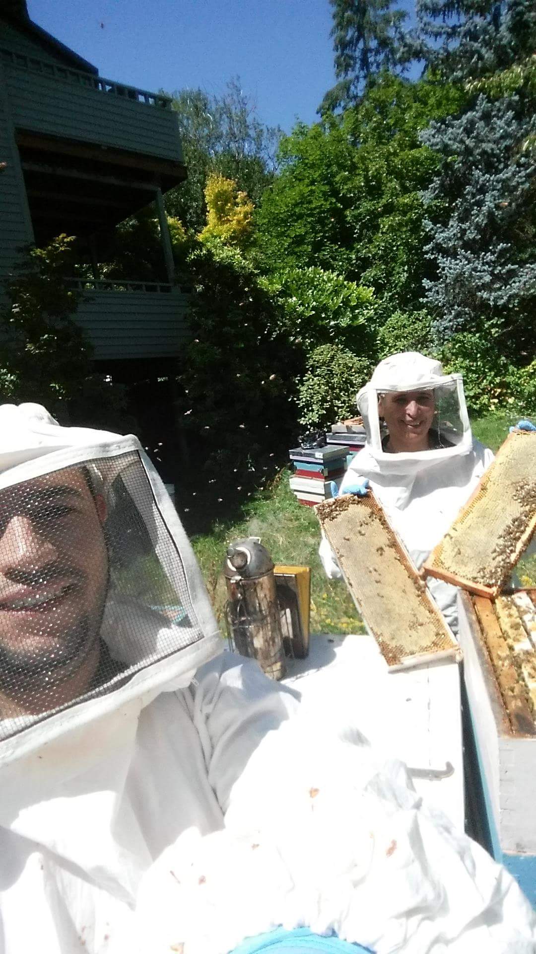 Live Bee Removal
