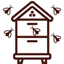 Our Apiary