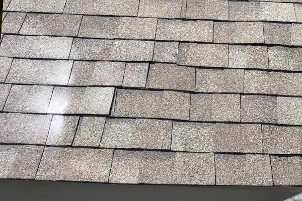 Bee Removal Location - Dallas