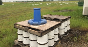 Honey storage and production