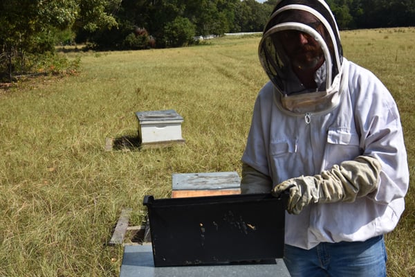 Beekeeping Education