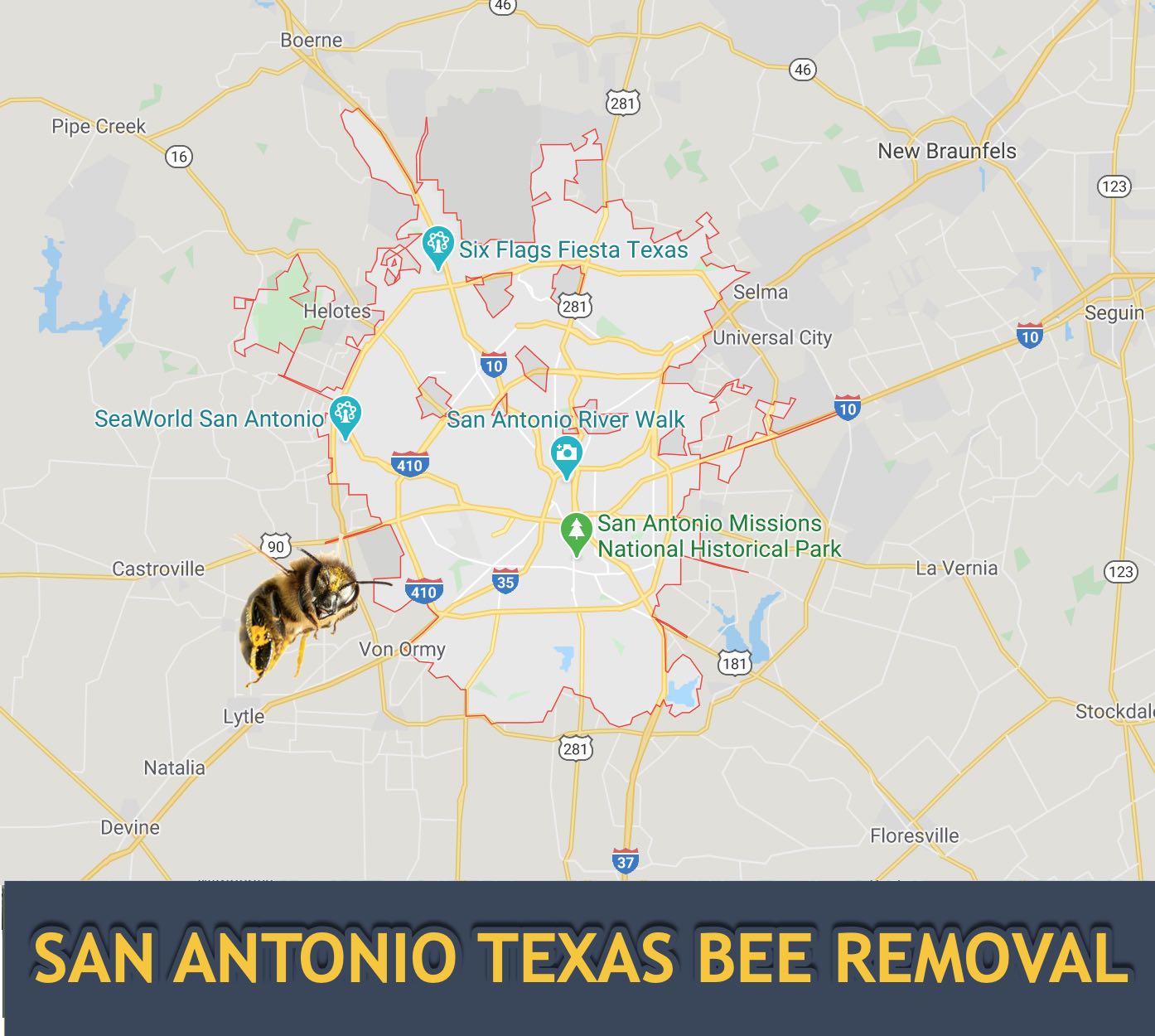 Bee removal service in San Antonio Texas
